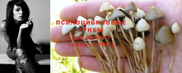 хмурый Алзамай