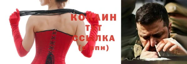 мет Алексин