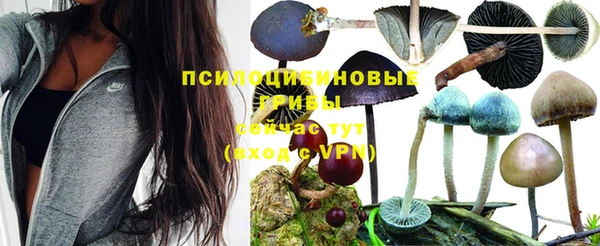 стаф Майский