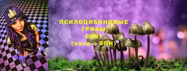 хмурый Алзамай