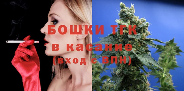 мет Алексин