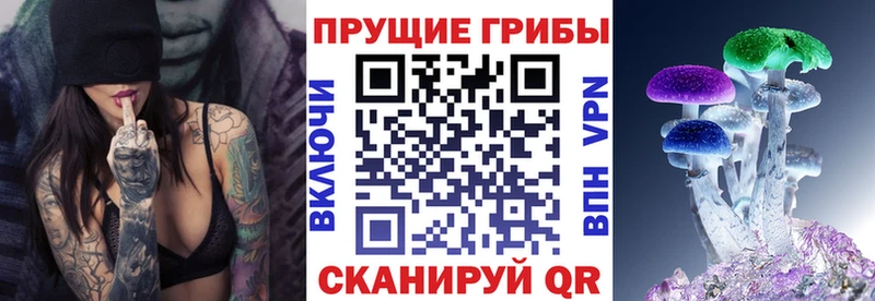 Псилоцибиновые грибы Cubensis Каневская